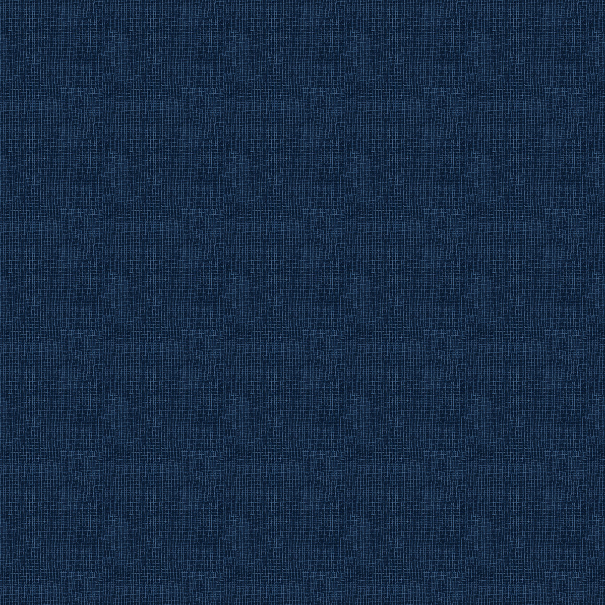 Village Folk - Navy Grid Texture