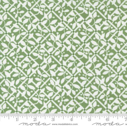 Shoreline - Green/Squares