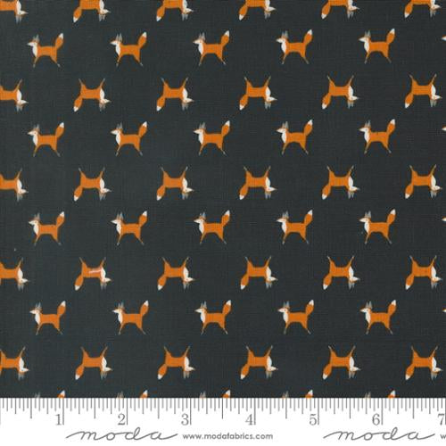 Woodland Wonder - Midnight Orange 548394-21