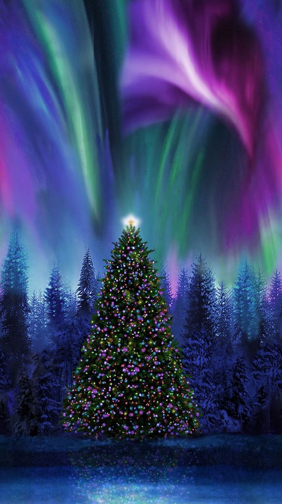 CHRISTMAS TREE AURORA BOREALIS 24&quot;