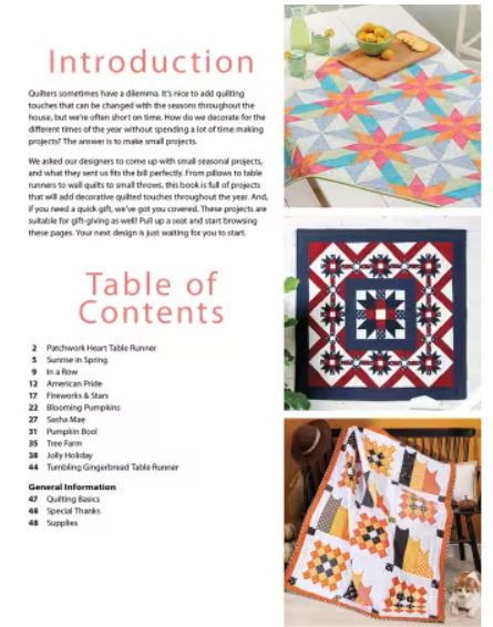 Quilted Projects for All Seasons Book