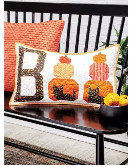 Quilted Projects for All Seasons Book
