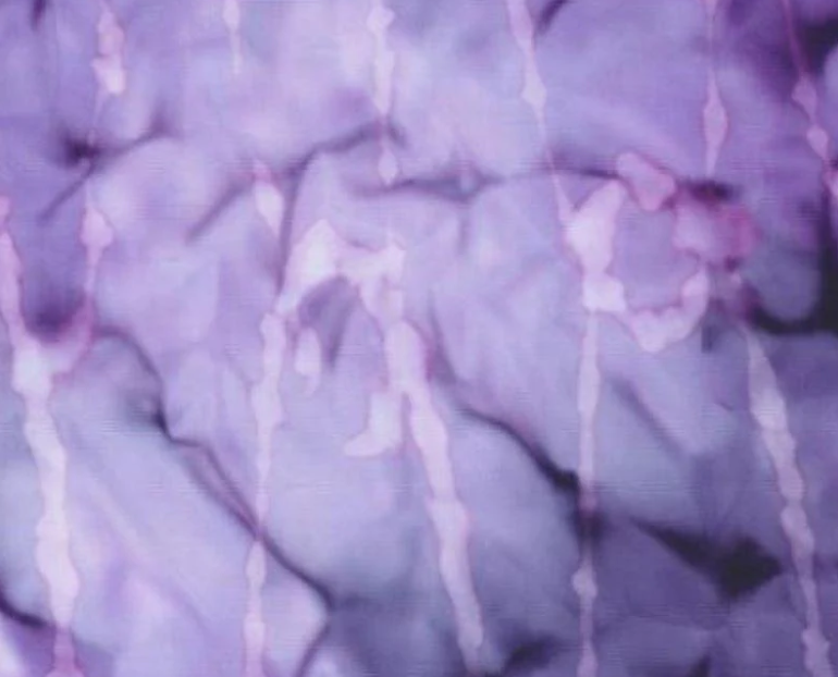 Berrylicious Batiks - Prune 4368-23