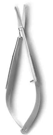 Rounded Curved Tip Snips