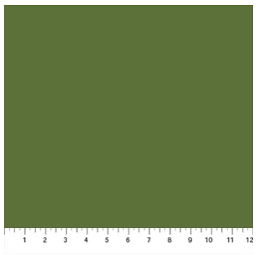 Northcott Colorworks Premium Solid - Green Pepper 9000-792